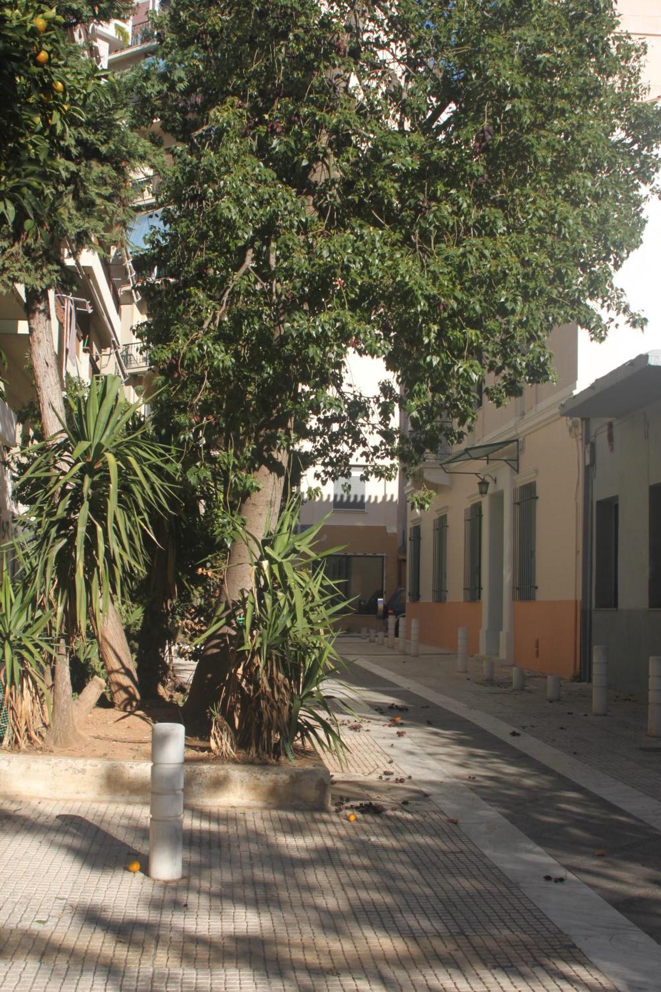 "Under The Olive Tree"- Beautiful Apartment In The Heart Of Atena Exterior foto