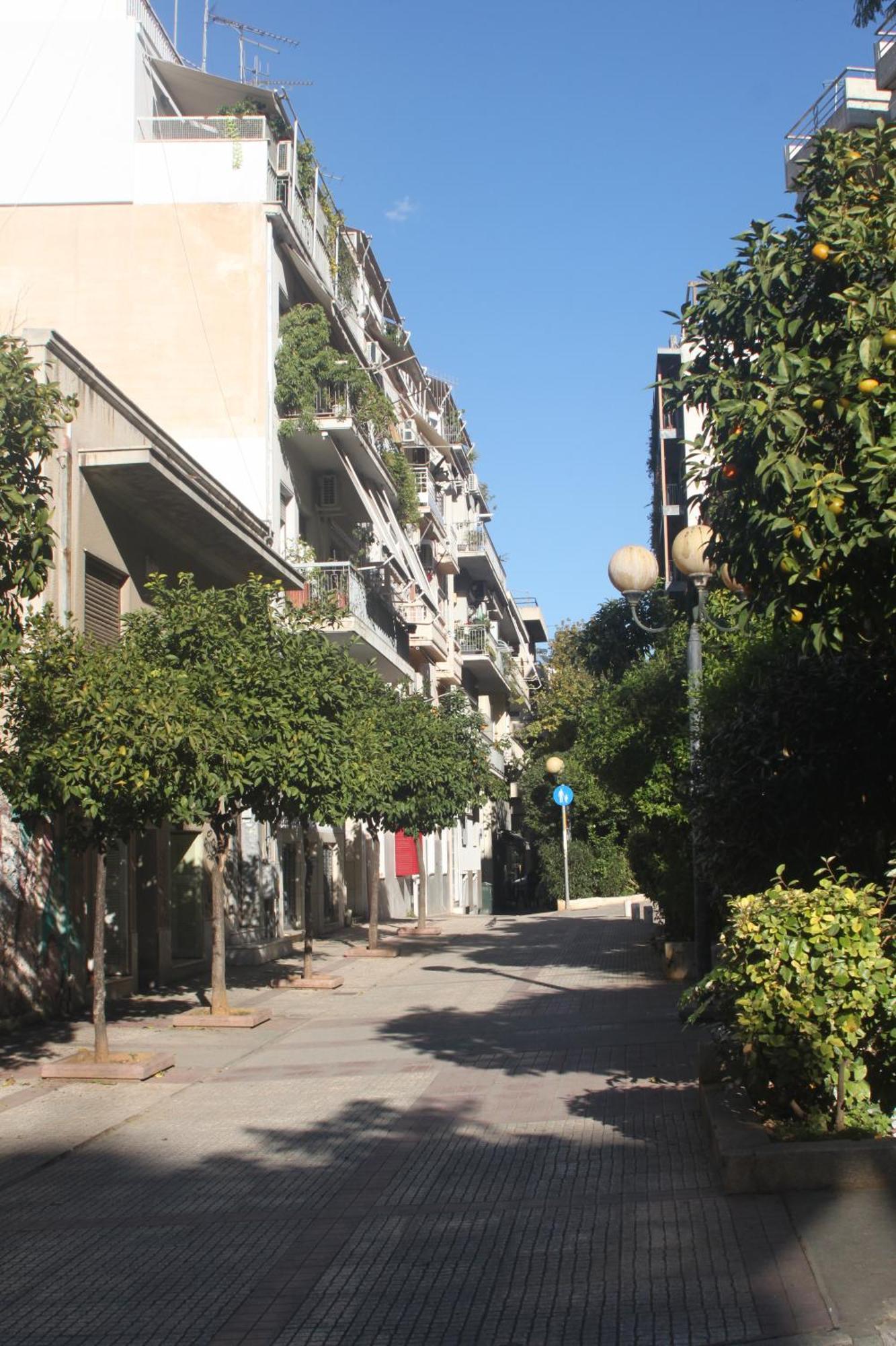 "Under The Olive Tree"- Beautiful Apartment In The Heart Of Atena Exterior foto
