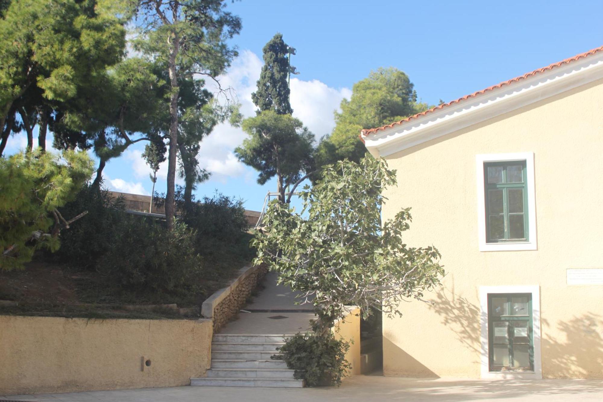 "Under The Olive Tree"- Beautiful Apartment In The Heart Of Atena Exterior foto